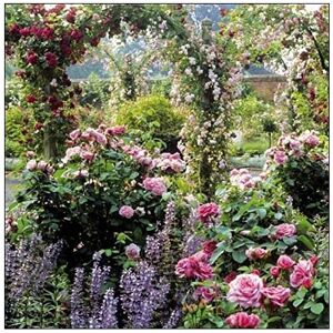 Woodmansterne Mottisfont Abbey Greeting Card - National Trust Scenic Birthday Cards Woodmansterne Mottisfont Abbey Greeting Card - National Trust Scenic Birthday Cards