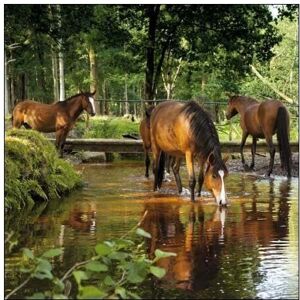 Woodmansterne National Trust Dockens Water Greeting Card Woodmansterne National Trust Dockens Water Greeting Card