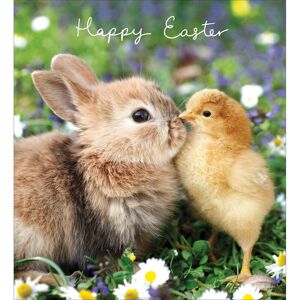 Woodmansterne Pack of 5 Cute Bunny & Chick Easter Greetings Cards In Same Mini Card Design Woodmansterne Pack of 5 Cute Bunny & Chick Easter Greetings Cards In Same Mini Card Design