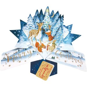 Second Nature Grandson's 1st Christmas Card 3D Woodland Animals Pop Up Christmas Card Xmas Second Nature Grandson's 1st Christmas Card 3D Woodland Animals Pop Up Christmas Card Xmas