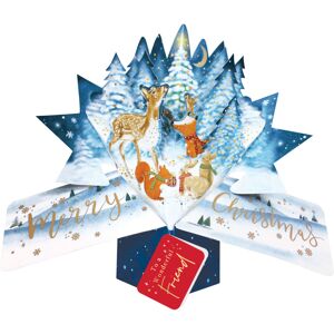 Second Nature Friend Christmas Card 3D Woodland Animals Pop Up Christmas Card Xmas Cards Second Nature Friend Christmas Card 3D Woodland Animals Pop Up Christmas Card Xmas Cards