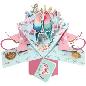 Second Nature Love Birds To A Special Couple Pop Up Anniversary Card Suit Any Occasion Second Nature Love Birds To A Special Couple Pop Up Anniversary Card Suit Any Occasion