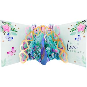 Second Nature Happy Mother's Day Feathered Floral Mother's Day Pop Up Greeting Card Second Nature Happy Mother's Day Feathered Floral Mother's Day Pop Up Greeting Card