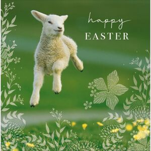 Woodmansterne Happy Easter Spring Has Sprung Cute Easter Greeting Card Woodmansterne Happy Easter Spring Has Sprung Cute Easter Greeting Card