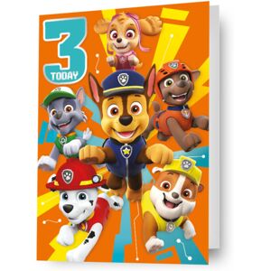 Paw Patrol Age 3 Birthday Card Paw Patrol Age 3 Birthday Card