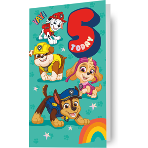 Paw Patrol Age 5 Birthday Card Paw Patrol Age 5 Birthday Card
