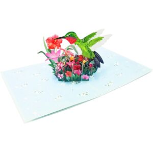 Pokémon POP CARD EXPRESS Hummingbird Birthday Greeting Pop Up Card -Great Gift for Birth Pokémon POP CARD EXPRESS Hummingbird Birthday Greeting Pop Up Card -Great Gift for Birth