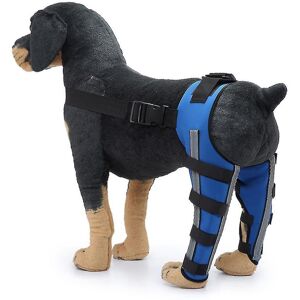 Unbranded (Red, L) Dog Knee Brace, Dog Double Rear Leg Brace With Reflective Seat Belts, A Unbranded (Red, L) Dog Knee Brace, Dog Double Rear Leg Brace With Reflective Seat Belts, A