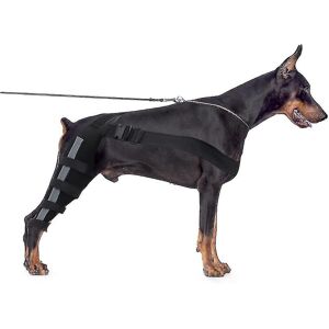 Unbranded (Black, L) Dog Knee Brace, Dog Double Rear Leg Brace With Reflective Seat Belts, Unbranded (Black, L) Dog Knee Brace, Dog Double Rear Leg Brace With Reflective Seat Belts,