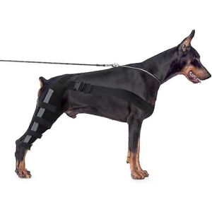 Unbranded (L, Black) Dog Knee Brace, Dog Double Rear Leg Brace With Reflective Seat Belts, Unbranded (L, Black) Dog Knee Brace, Dog Double Rear Leg Brace With Reflective Seat Belts,