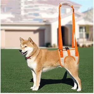 Unbranded (As show, One size) Orange dog assist strap (M waist 35-45cm, leg 24cm), mesh do Unbranded (As show, One size) Orange dog assist strap (M waist 35-45cm, leg 24cm), mesh do
