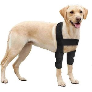 Kikidex (M, One size) Dog Front Leg Hock Braces Elbow Protector Canine Wrap Protects Wou Kikidex (M, One size) Dog Front Leg Hock Braces Elbow Protector Canine Wrap Protects Wou