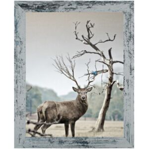 Sales Today Interior (31 X 24" ( 80 X 60cm )) Rustic White Blue A1 A2 A3 A4 A5 Picture Frame Sales Today Interior (31 X 24" ( 80 X 60cm )) Rustic White Blue A1 A2 A3 A4 A5 Picture Frame