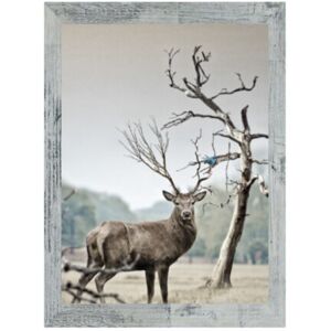 Sales Today Interior (A3 ( 42 X 29.7cm )) Rustic Silver Grey A1 A2 A3 A4 A5 Picture Frame Sales Today Interior (A3 ( 42 X 29.7cm )) Rustic Silver Grey A1 A2 A3 A4 A5 Picture Frame