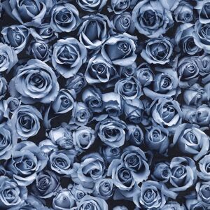 Muriva Rosalee Blue Wallpaper 158504 Muriva Rosalee Blue Wallpaper 158504