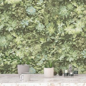 Noordwand Evergreen Succulent Green Wallpaper - Wall Sticker Decor Noordwand Evergreen Succulent Green Wallpaper - Wall Sticker Decor