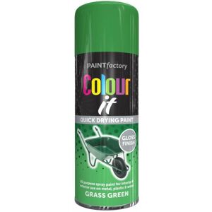 Rapide Colour It Grass Green Spray Paint Gloss 250ml Rapide Colour It Grass Green Spray Paint Gloss 250ml