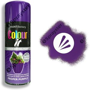 Rapide Colour It Proper Purple Spray Paint Gloss 250ml Rapide Colour It Proper Purple Spray Paint Gloss 250ml