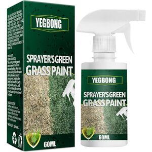 Unbranded Green Grass Paint Spray Long Lasting Turf Paint Enhance Patchy Dormant Yellowing Unbranded Green Grass Paint Spray Long Lasting Turf Paint Enhance Patchy Dormant Yellowing