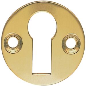 Loops 31mm Keyhole Profile Round Escutcheon 18mm Fixing Centres Polished Brass Loops 31mm Keyhole Profile Round Escutcheon 18mm Fixing Centres Polished Brass