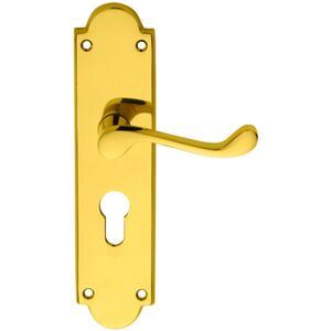 Loops PAIR Victorian Scroll Lever on Euro Lock Backplate 205 x 49mm Polished Brass Loops PAIR Victorian Scroll Lever on Euro Lock Backplate 205 x 49mm Polished Brass