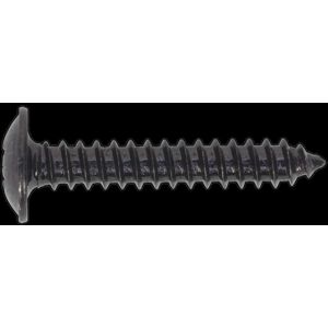 Sealey Self-Tapping Screw 4.2 x 25mm Flanged Head Black Pozi Pack of 100 Sealey Self-Tapping Screw 4.2 x 25mm Flanged Head Black Pozi Pack of 100
