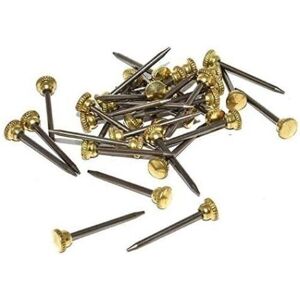 Dzina Picture Photo Hanging Hook PINS KNURLED Brass Head ( Pack of 25 ) Dzina Picture Photo Hanging Hook PINS KNURLED Brass Head ( Pack of 25 )