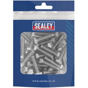 Sealey S625S Stainless Steel Set Screw M6 x 25mm 1mm Pitch, DIN 933 - Pack of 50 Sealey S625S Stainless Steel Set Screw M6 x 25mm 1mm Pitch, DIN 933 - Pack of 50