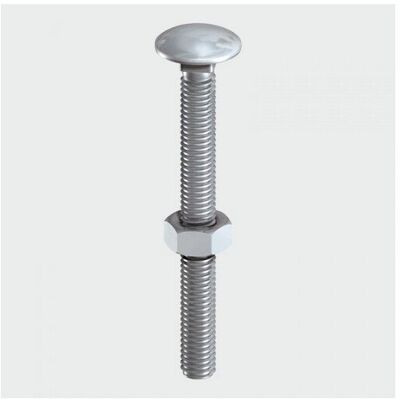TIMco 10120CBSSP Carriage Bolt SS 10 x 120mm Bag of 2 TIMco 10120CBSSP Carriage Bolt SS 10 x 120mm Bag of 2