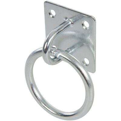 Loops 2x 50mm Galvanised Steel Ring on Face Plate Wire Rope Lashing Cable Loop Mount Loops 2x 50mm Galvanised Steel Ring on Face Plate Wire Rope Lashing Cable Loop Mount