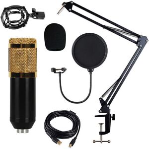 JG17 (Gold, Set Version) Adjustable Studio Mic USB Condenser Sound Recording Micropho JG17 (Gold, Set Version) Adjustable Studio Mic USB Condenser Sound Recording Micropho