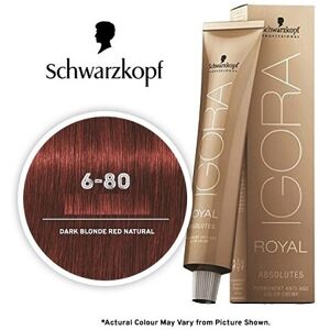 (1pks) Schwarzkopf Igora Royal 6-80 Dark Blonde Red Natural Permanent Color (1pks) Schwarzkopf Igora Royal 6-80 Dark Blonde Red Natural Permanent Color
