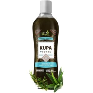 Shiseido LO+NATURAL Shampoo KUPA + FORTE (13.5 fl oz) with Rosemary & Aloe Vera HUICHOL Shiseido LO+NATURAL Shampoo KUPA + FORTE (13.5 fl oz) with Rosemary & Aloe Vera HUICHOL