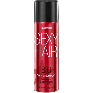 Sexy Hair SexyHair Big Dry Shampoo 3.4 Oz Remove Oils and Impurities Provides Additio Sexy Hair SexyHair Big Dry Shampoo 3.4 Oz Remove Oils and Impurities Provides Additio