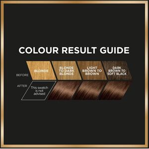 L’Oréal Paris L'Oreal Preference Infinia Natural Hair Colour Dye - 5 Palma Light Brown - Hair Colour Dye L’Oréal Paris L'Oreal Preference Infinia Natural Hair Colour Dye - 5 Palma Light Brown - Hair Colour Dye