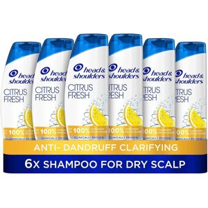 Head & Shoulders Citrus Fresh Shampoo for Greasy Hair, Pack of 6 Head & Shoulders Citrus Fresh Shampoo for Greasy Hair, Pack of 6