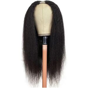 Unbranded U Part Wig for Women Kinky Straight Heat Resistant Fiber 22inch Unbranded U Part Wig for Women Kinky Straight Heat Resistant Fiber 22inch