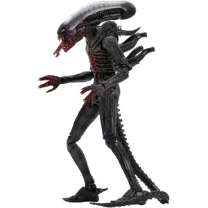 NECA Alien - 7 Scale Action Figure - 40th Anniversary - Wave 2 - Bloody Xenomorp NECA Alien - 7 Scale Action Figure - 40th Anniversary - Wave 2 - Bloody Xenomorp