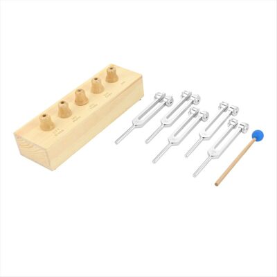 Saudism 1Set Brain Tuner Tuning Fork Set of 5 for Theta Alpha Forks with Wooden Voice Bo Saudism 1Set Brain Tuner Tuning Fork Set of 5 for Theta Alpha Forks with Wooden Voice Bo