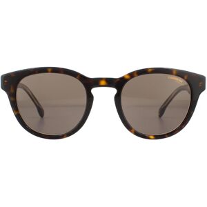 Carrera Sunglasses 252/S 086 70 Dark Havana Brown Carrera Sunglasses 252/S 086 70 Dark Havana Brown