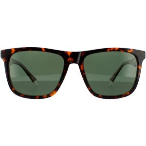 Polaroid Sunglasses PLD 2102/S/X KRZ UC Havana Green Polarized Polaroid Sunglasses PLD 2102/S/X KRZ UC Havana Green Polarized