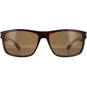 Polaroid Sunglasses PLD 2121/S L9G SP Havana Orange Bronze Polarized Polaroid Sunglasses PLD 2121/S L9G SP Havana Orange Bronze Polarized
