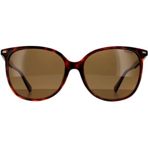 Polaroid Sunglasses PLD 4125/G/S 086 SP Dark Havana Bronze Polarized Polaroid Sunglasses PLD 4125/G/S 086 SP Dark Havana Bronze Polarized