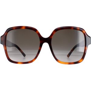 Jimmy Choo Sunglasses Rella/G/S 086/HA Dark Havana Brown Gradient Jimmy Choo Sunglasses Rella/G/S 086/HA Dark Havana Brown Gradient
