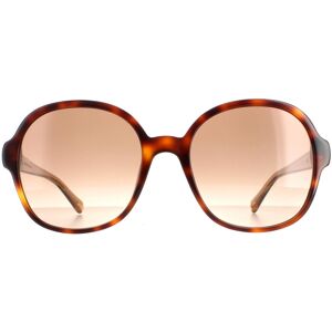 Tommy Hilfiger Sunglasses TH 1812/S 05L HA Havana Brown Gradient Tommy Hilfiger Sunglasses TH 1812/S 05L HA Havana Brown Gradient