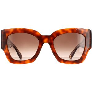 Tommy Hilfiger Sunglasses TH 1862/S C9B HA Havana Honey Brown Gradient Tommy Hilfiger Sunglasses TH 1862/S C9B HA Havana Honey Brown Gradient