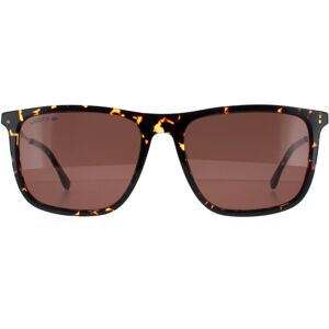Lacoste Sunglasses L945S 214 Havana Brown Lacoste Sunglasses L945S 214 Havana Brown