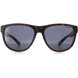 Polaroid Sunglasses PLD 2156/S HGC C3 Matte Havana Blue Grey Polarized Polaroid Sunglasses PLD 2156/S HGC C3 Matte Havana Blue Grey Polarized