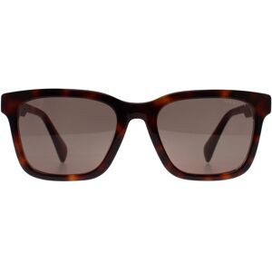 Ted Baker Sunglasses TB1722 Garret 101 Tortoise on Clear Green Ted Baker Sunglasses TB1722 Garret 101 Tortoise on Clear Green