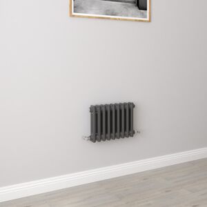 AICA (300x425mm 2 Column) Traditional Cast Iron Radiator Anthracite AICA (300x425mm 2 Column) Traditional Cast Iron Radiator Anthracite
